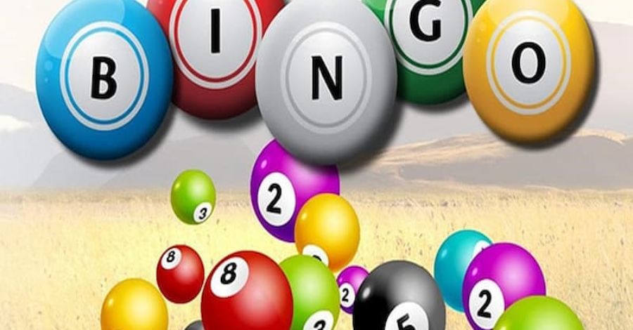 Cách săn bạch thủ lô đẹp - Bí quyết chinh phục giấc mơ đổi đời Phương pháp cách săn bạch thủ lô đẹp