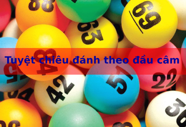 đầu đít câm thì đánh lô đề con gì