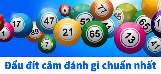 Đầu Đít Câm Thì Đánh Lô Đề Con Gì - Hướng Dẫn Chi Tiết Từ A-Z Lời khuyên đầu đít câm thì đánh lô đề con gì?