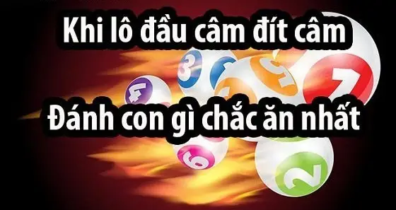 Đầu Đít Câm Thì Đánh Lô Đề Con Gì - Hướng Dẫn Chi Tiết Từ A-Z Cách thống kê đầu đít câm thì đánh lô đề con gì?