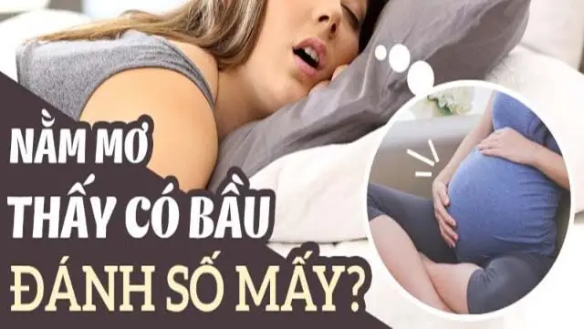 mơ thấy có bầu đánh lô đề con gì